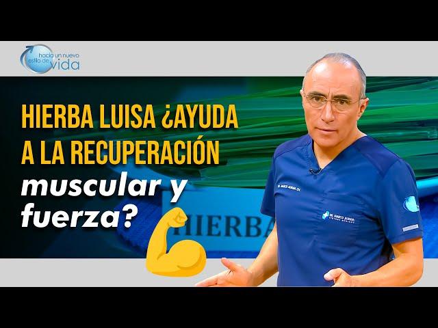  Hierba Luisa: ¿Ayuda a la recuperación muscular y fuerza? 