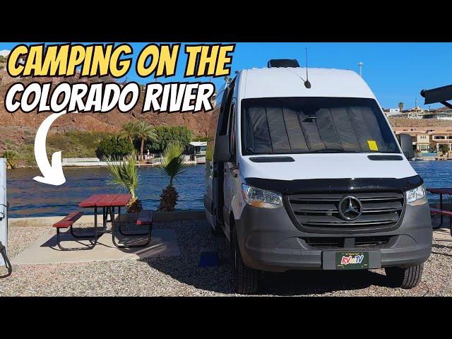 Camping on the Colorado River - (Wild Flowers)