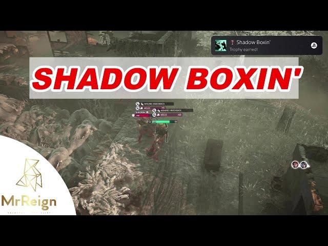 Miasma Chronicles - Shadow Boxin Trophy Achievement Guide - Counterpunch a Counterpunch