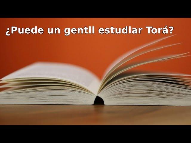 Q&A - ¿Puede un gentil estudiar Torá?