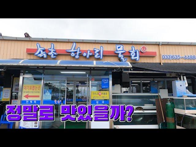 속초 맛집 항아리물회 유명해서 한번 가봤습니다