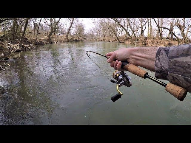 CREEK Fishing for Rainbow & Brook TROUT with Spinners