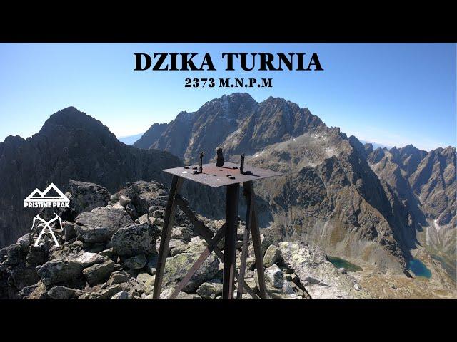 Tatry: Dzika Turnia przez Dolinę Białej Wody (Tatrzańskie eksploracje #9)