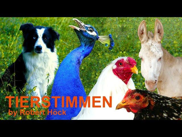 10 minutes of HAPPY FARM ANIMALS with their natural voices - FOR KIDS - peafowl, dog, sheep,  geese