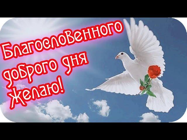 Доброе утро! Благословенного, доброго дня желаю! Душевное пожелание Good morning!