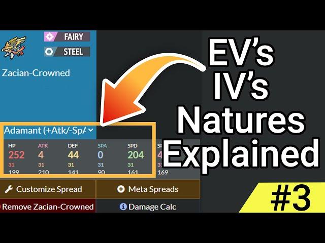 Understanding EVs, IVs And Natures - Pokemon VGC Guide