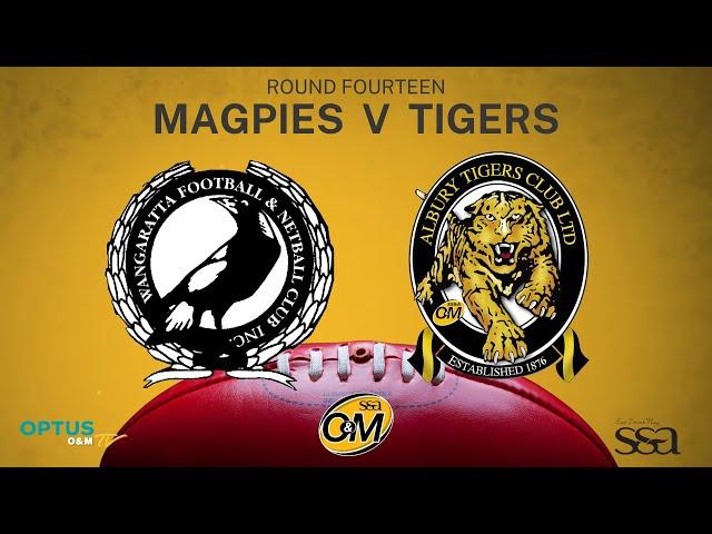 R14 2023 - Wangaratta Magpies vs Albury Tigers