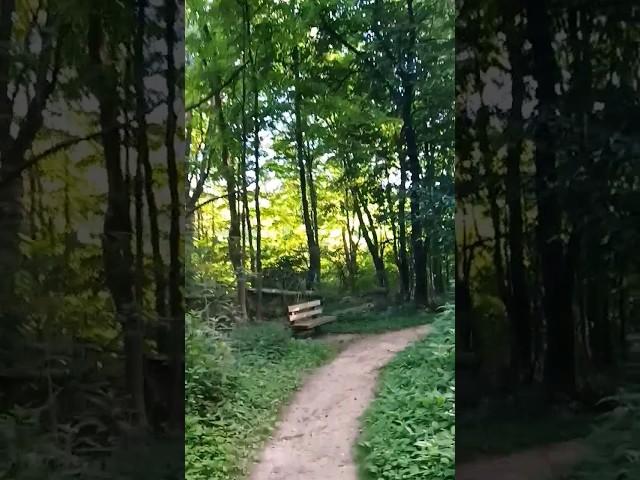 Round the Bend #hiking #nature #green #getoutside #ohio #trails  #forest #summer #shorts