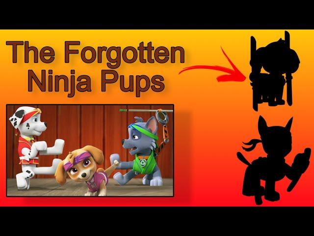 Ninja pups - the cancelled subseries you never heard of