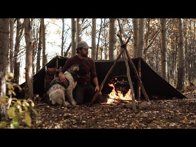 Solo Camping with my Puppy - Half Tent Shelter, Camp Cooking, Bushcraft Skills, Canadian Wilderness