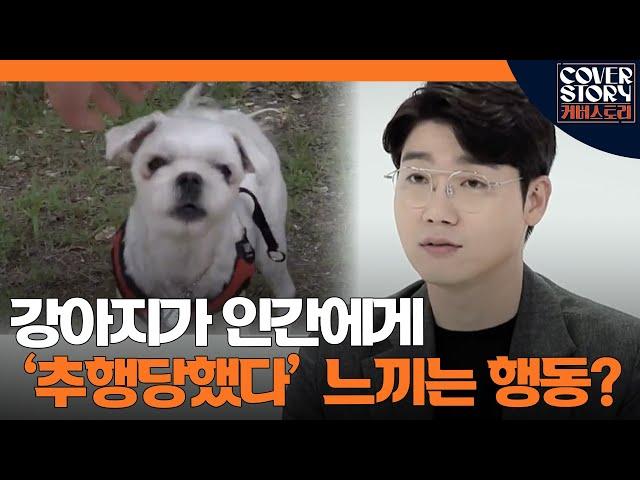 우리는 무의식적으로 했지만 강아지에겐 공격성을 자극 당하는 행위는? ㅣ EP10-3