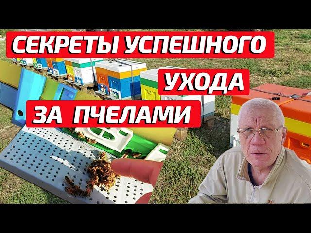 Как контролировать состояние пчелиных семей Техника ухода за пчелами