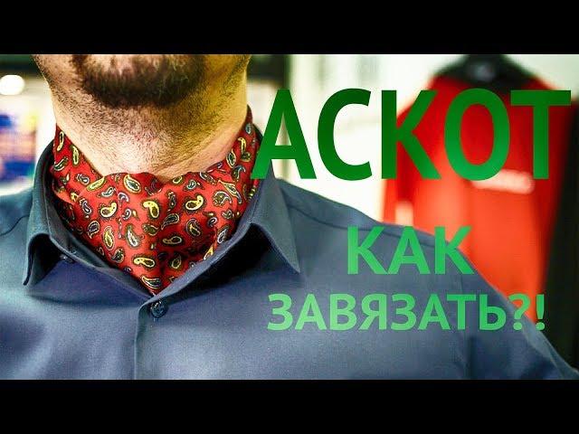 Шейный платок | Галстук Аскот | Как завязать