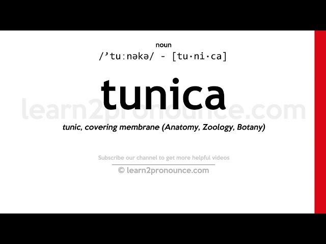 Pronunciation of Tunica | Definition of Tunica