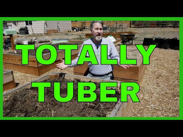 How to Plant Potatoes (Complete Guide)
