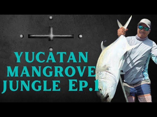 Yucatan Mangrove Jungle Survival, Fishing, Bushcraft, Ethnobotany in the Xcalak Flats of Mexico