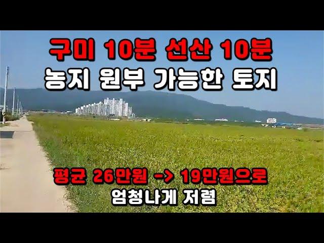 [구미 토지 매매] 농지 원부 가능한 토지! 구미 선산에서 가까우며 정말 저렴하게 나온 땅