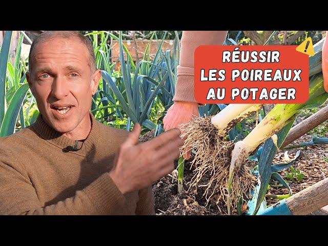 Bien semer, planter et cultiver les poireaux au potager