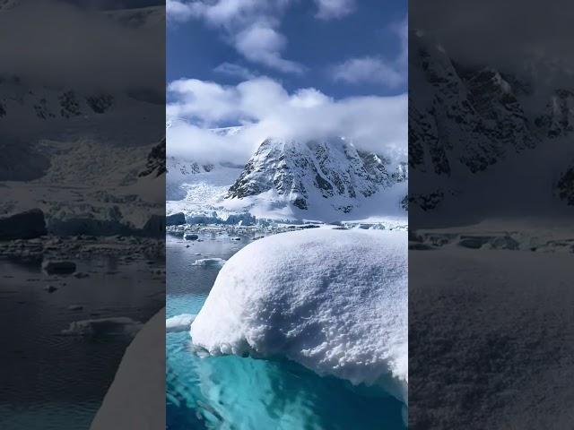 The Antarctic Peninsula - Antarctica