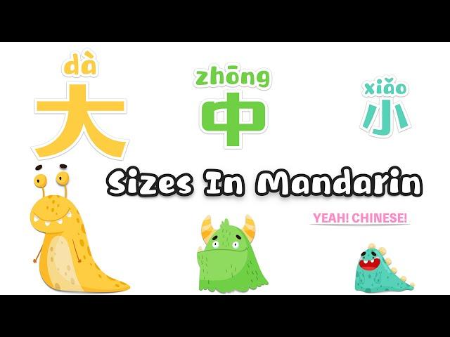 Sizes in Mandarin Chinese | Learn to say 'BIG, MEDIUM & SMALL' in Mandarin Chinese | 学中文‘大中小’