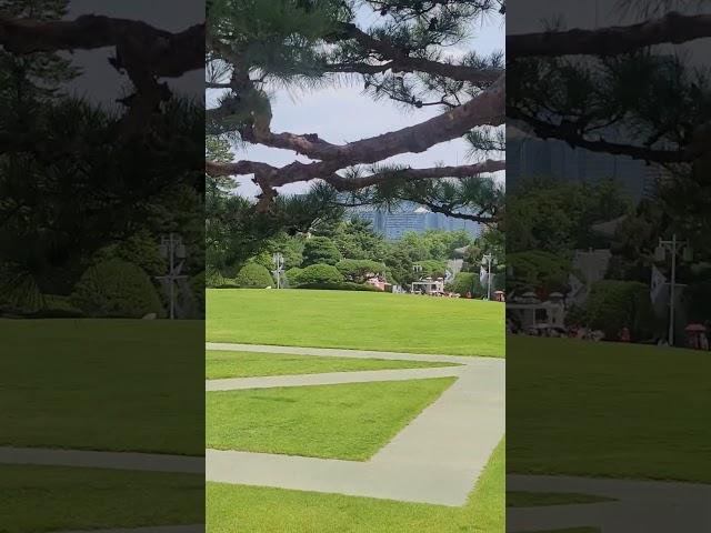 청와대!국민의품으로^^                           #윤석열 #헌법재판소 #국민의힘  #힘내세요 #전한길