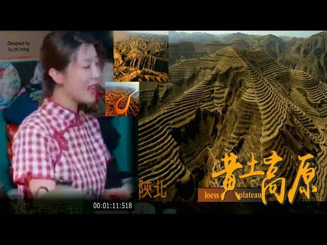 "酒杯杯"一首很道地的陝北民歌｜陝北黃土原高 、窰洞 (loess plateau)