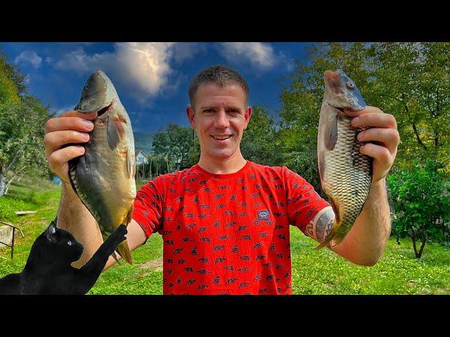 Life in the countryside! The cat brought kittens! Grilling carp!