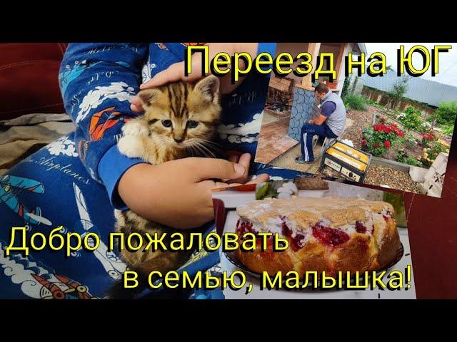 Влог# 637 Переезд на ЮГ  Добро пожаловать, малышка Жена блогер -горе в семье  Переделка БЕСЕДКИ
