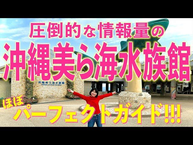 【沖縄美ら海水族館①】徹底取材！沖縄美ら海水族館を圧倒的な情報量でガイドします！ジンベエザメの飼育にも密着！！〈PR〉【沖縄観光/本部】