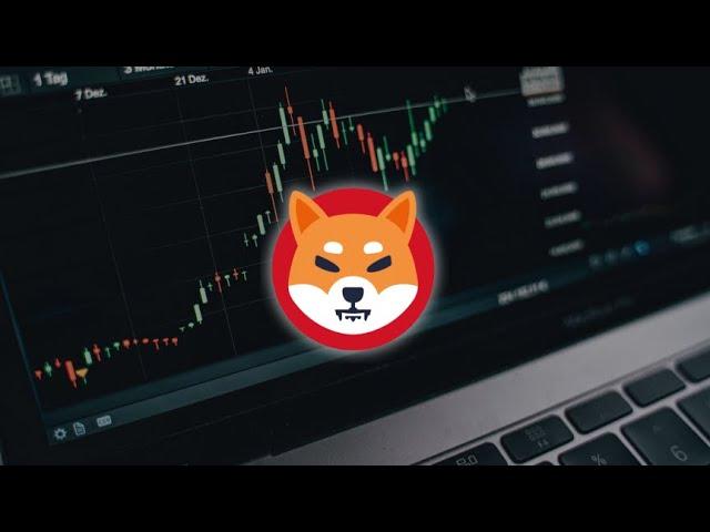  SHIB ARMY, ASSEMBLE!  Is a Shiba Inu breakout on the horizon? 