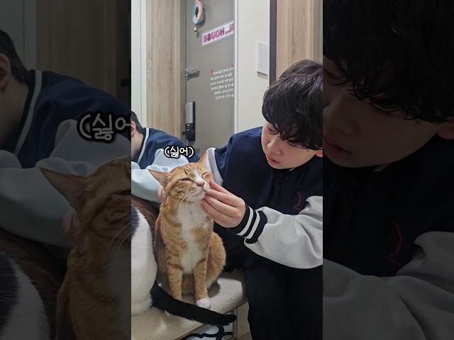 놀러나가는 짜근집사 발목잡는 오레오치즈 #cute #고양이 #cat