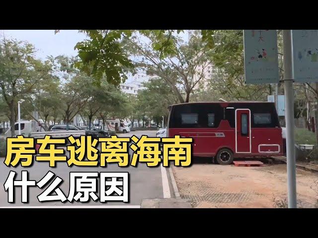 现场直击：房车“逃离”海南之因？【车行天下牛】