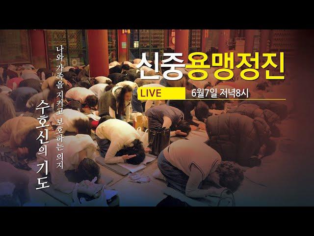 조계사 신중용맹정진(6/7 저녁8시) #수호신의기도 #용맹정진 #생중계