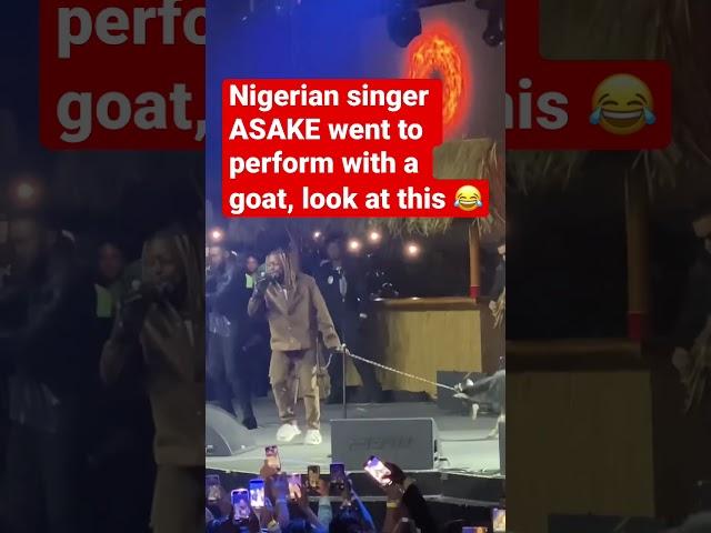 Adair went to perform with a Goat  #shorts #nigeria #asake #viral #foryou }•#trending #usa #fyp