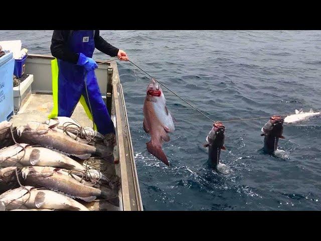 Amazing Automatic Longline Fishing Net Catch Giant Fish - Awesome big catching on the sea