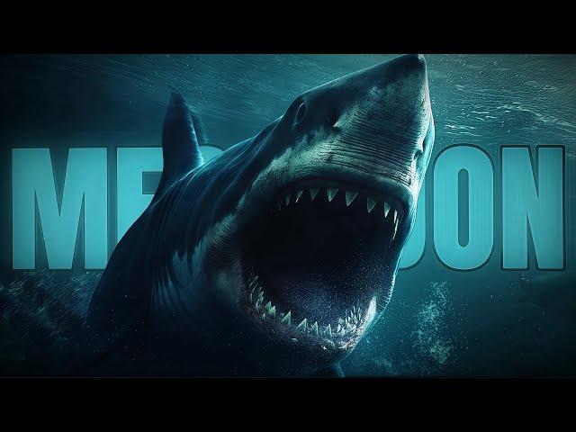 How Strong Was Megalodon?