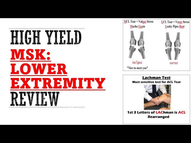 MSK Lower Extremity Review | Mnemonics And Proven Ways To Memorize for your exams!