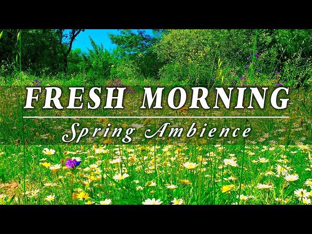 Relaxing Nature Ambience MeditationG E N T L E - B R E E Z E in a MeadowHealing Sounds of SPRING#2