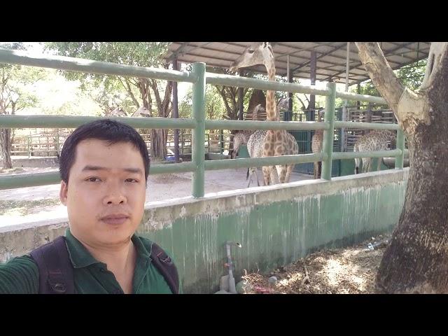 KIÊN PHẠM VLOG THAM QUAN KDL VƯỜN XOÀI 13