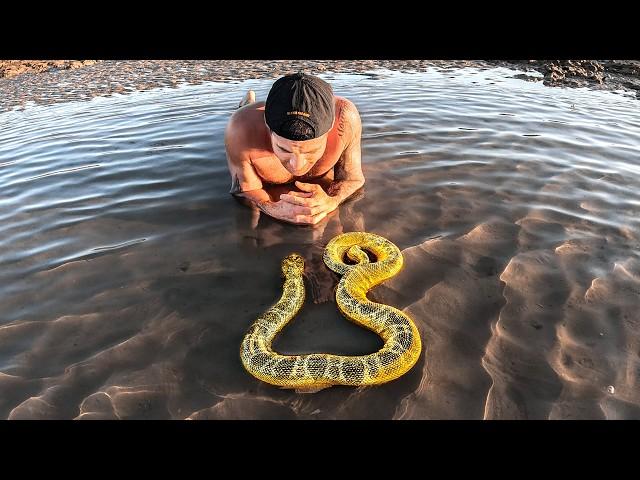 Exploring For Venomous Sea Creatures In Tide Pools