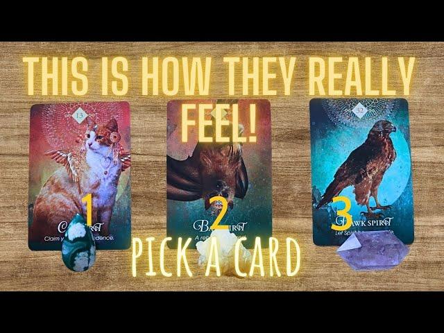  THIS IS HOW THEY *REALLY* FEEL ABOUT YOU! Find out the truth!... / Love Tarot Pick a Card