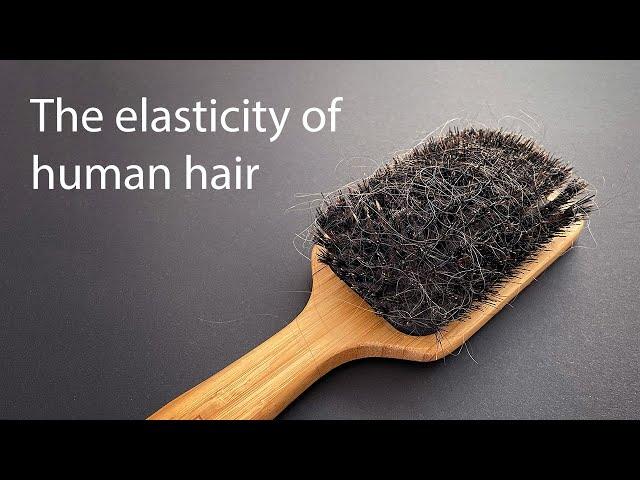 The elasticity of hair