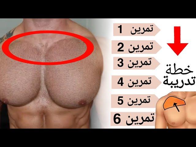 خطة تدريبية فعالة لحل مشكل ضعف الصدر العلوي  [ للمبتدئين وللمتقدمين ] كمال الاجسام | UPPER CHEST