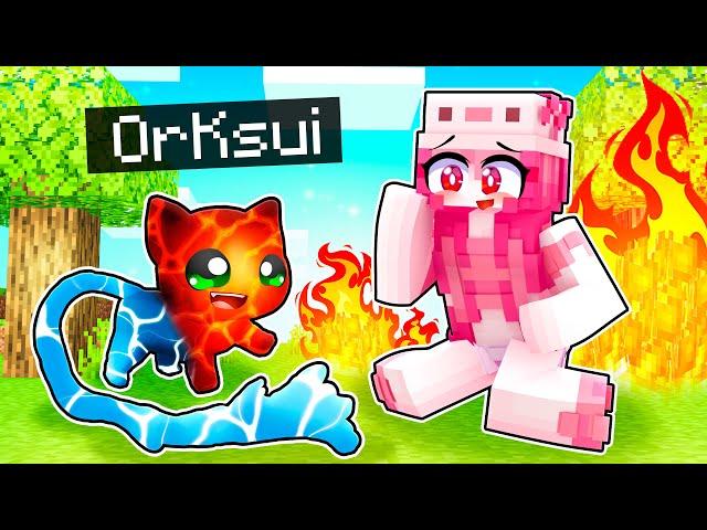 Minecraft als STÄRKSTE ELEMENT-KATZE spielen!