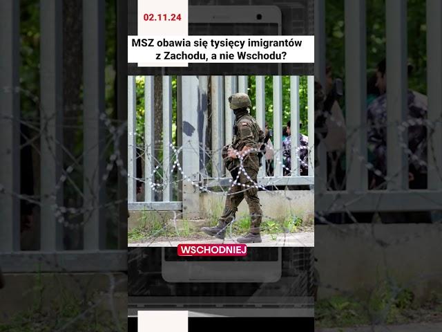 MSZ obawia się tysięcy imigrantów z Zachodu? #shorts