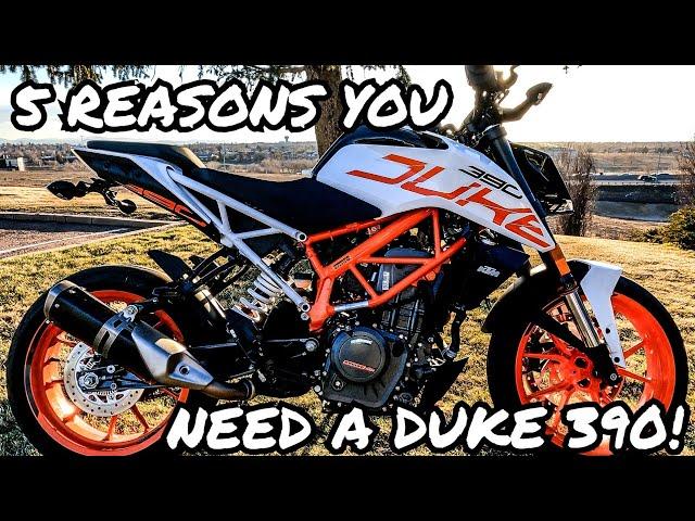 5 REASONS YOU SHOULD BUY A DUKE 390 | 2019 KTM DUKE 390 REVIEW | BEGINNER MOTORCYCLE