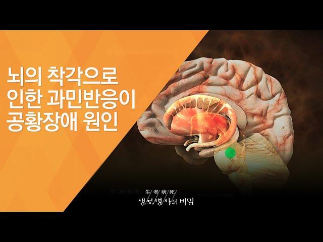 뇌의 착각으로 인한 과민반응이 공황장애 원인 - (20121229_442회 방송)_현대인의 마음병 - 불안장애