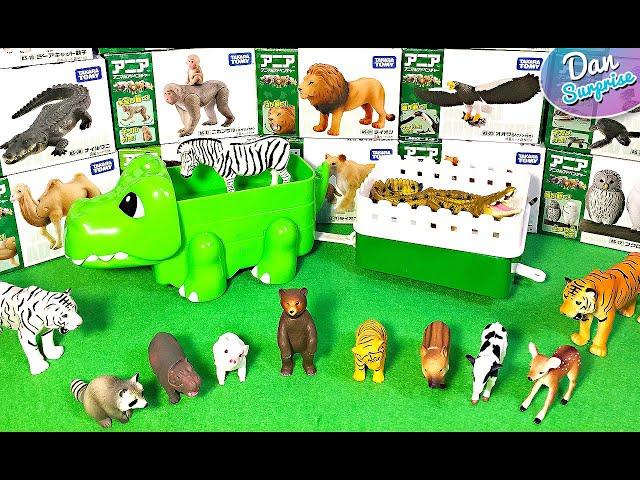 Takara Tomy Baby Wild Animals - Lion, Tiger, Bear, Cow, Red Panda, Deer, Racoon, Eagle, Crocodile