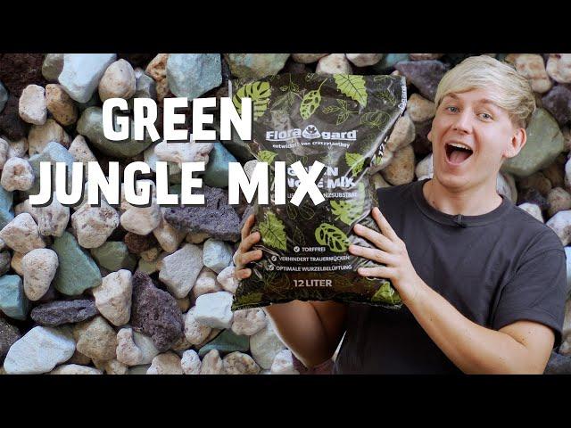 Entdecke den Green Jungle Mix: Das NEUE mineralische Substrat für deine Zimmerpflanzen! 🪴