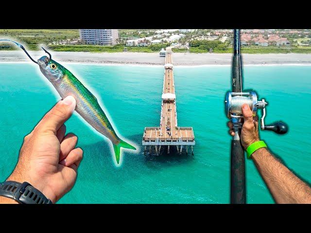 Pier Fishing: This Could Catch Anything!